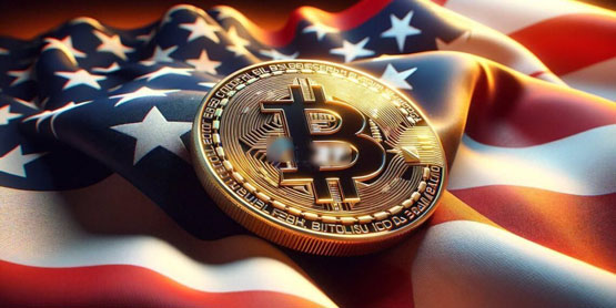 202504032259231001 202504032259231001