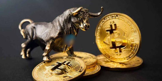 202504212159391001 202504212159391001