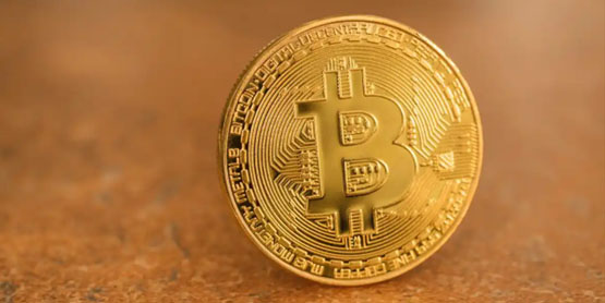 202504052321111001 202504052321111001