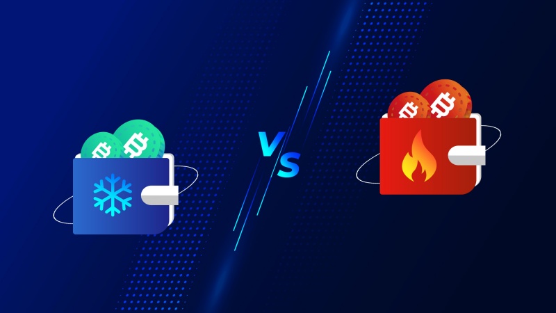 669f0bb65c1bcbb5de3577e6_bitcoin-cold-wallet-vs-hot-wallet_副本.jpg