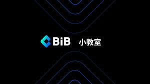 BIB币投资风险大吗，BIB币投资风险新手如何入门？