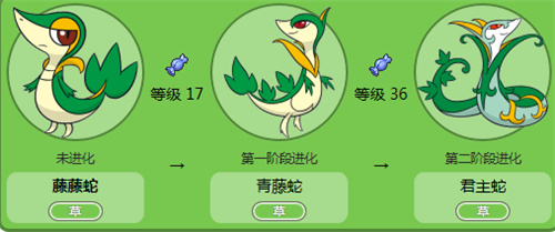 口袋妖怪漆黑的魅影6.0