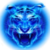 四虎影视APP破解版下载-四虎影视APP绿化版下载v4.0.4v4.0.4